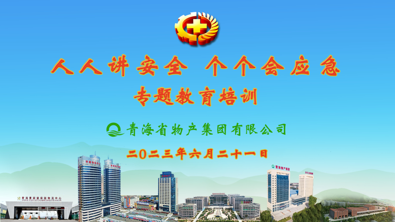 提高安全管理水平 落實(shí)全員安全責(zé)任——集團(tuán)安委會(huì)舉辦2023年“人人講安全，個(gè)個(gè)會(huì)應(yīng)急”專題教育培訓(xùn)